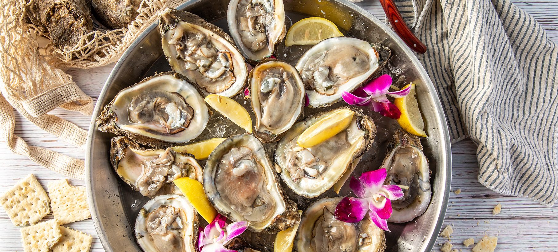 ABO National Oyster Day